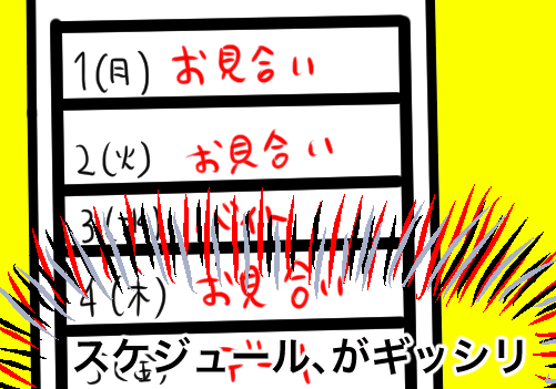 結婚相談所のお見合いスケジュール