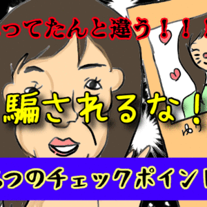 【アプリ・ネット婚活】必要最低限やってほしい6つのチェック｜結婚相談所目線で紹介！