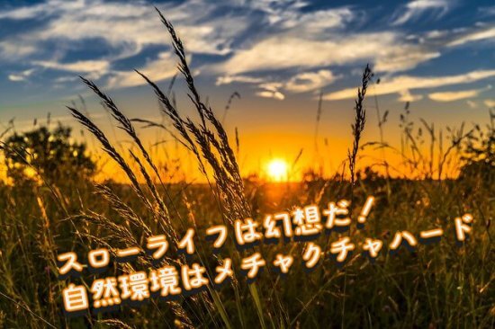 自然1