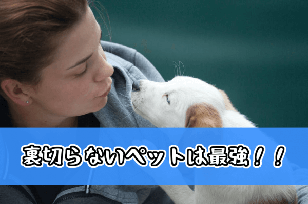 裏切らないペット