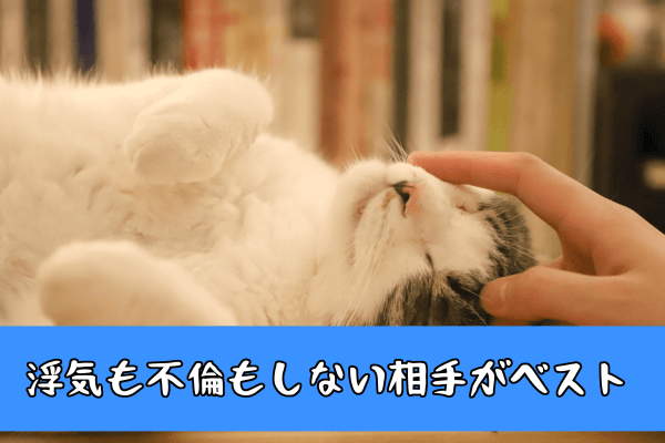 ペットとの愛情