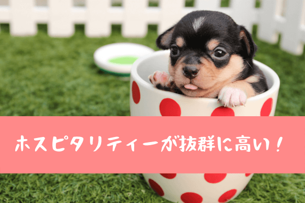 ペットへのおもてなし