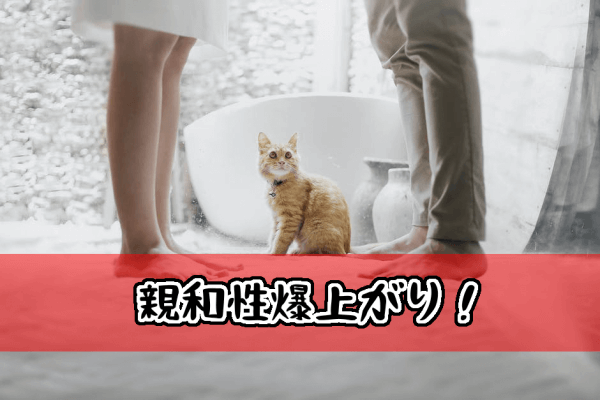 カップルとペット