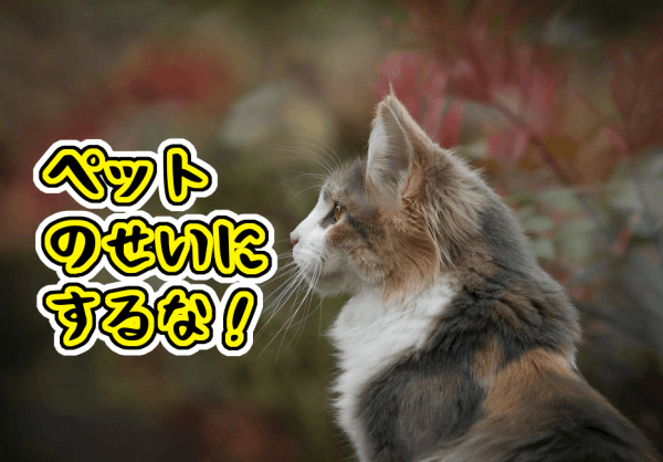 ペットの都市伝説