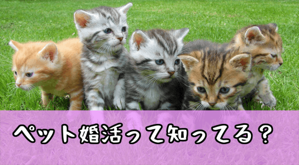 ペット婚活