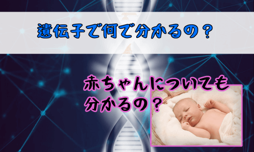 DNA婚活