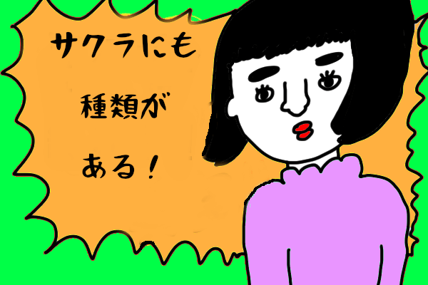 サクラを見分けるポイント