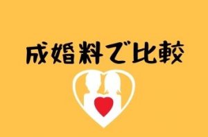 成婚料２