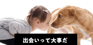 結婚相談所の婚活　出会い